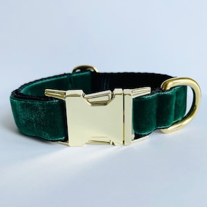 Emerald Green Luxury Velvet Dog Collar Gold Buckle Hardware, Pet Dog Gifts, Dog Collar Gift, Festive Dog Collar