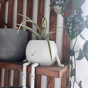 May include: A white, round planter with a smiling face and articulated legs, holding a green and white plant. The planter sits on a wooden shelf, with a gray planter to the left and trailing plants in the background.