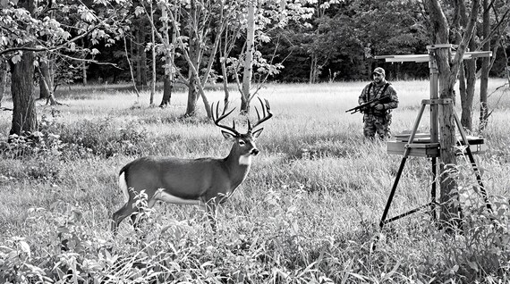 Standstill in the Meadow: When Two Worlds Meet”