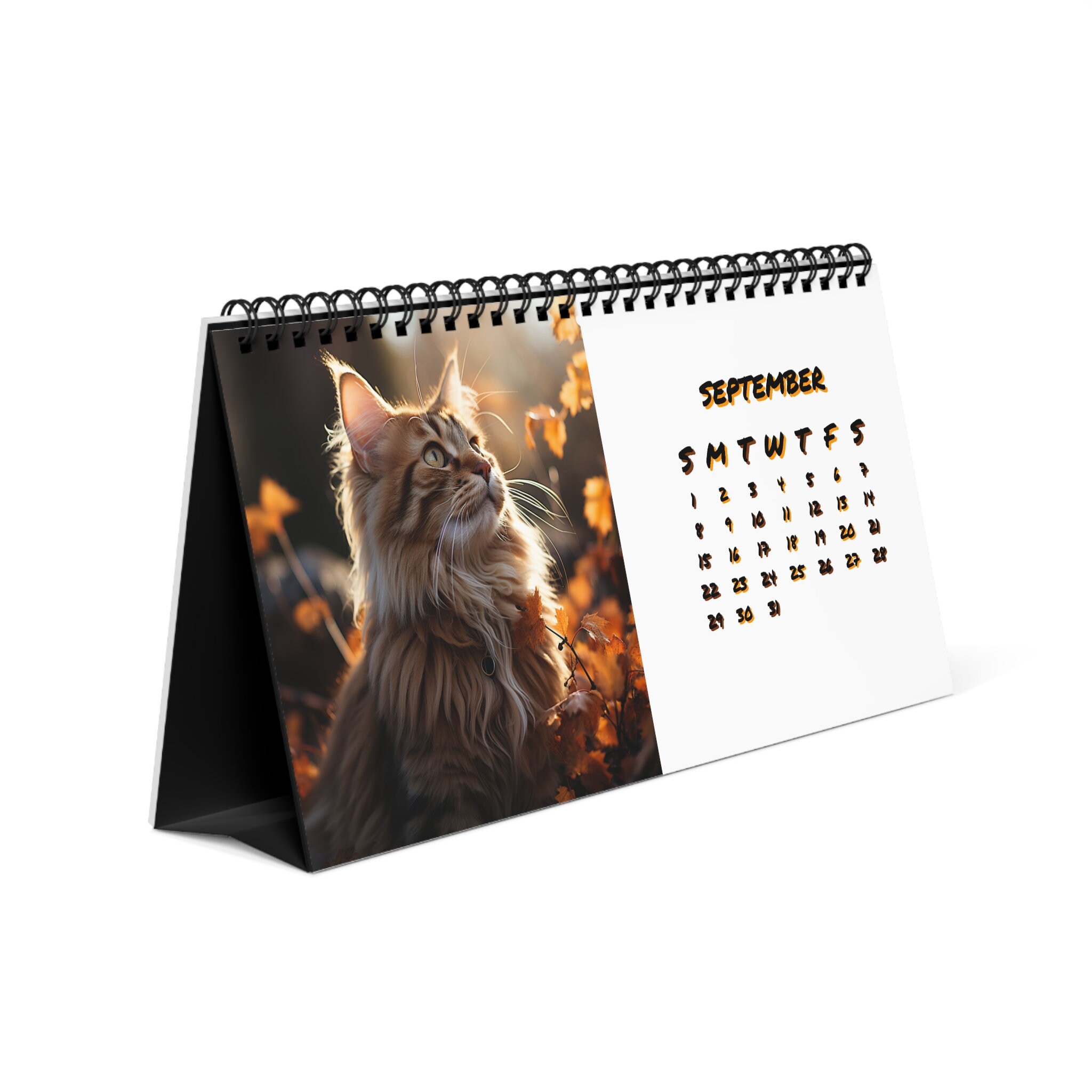 Maine Coons 2024 Desktop Calendar Etsy