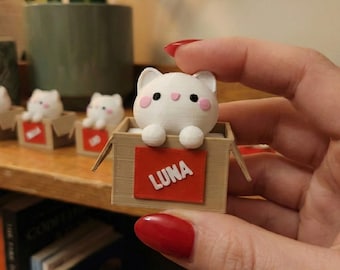 Personalized Cat in Box Figurine, Custom Name Desk Pet, 3D Printed Kawaii Cat Decor, Cute Office Desk Accessory, Gift for Cat Lover