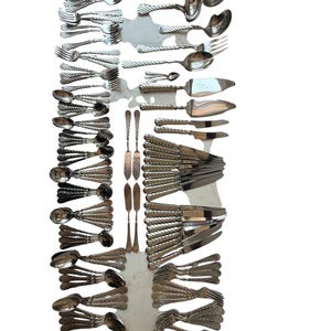 122-Piece Christofle Capricorne Liane Silver-Plated Flatware Set, France