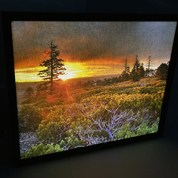 Backlit Canvas Etsy