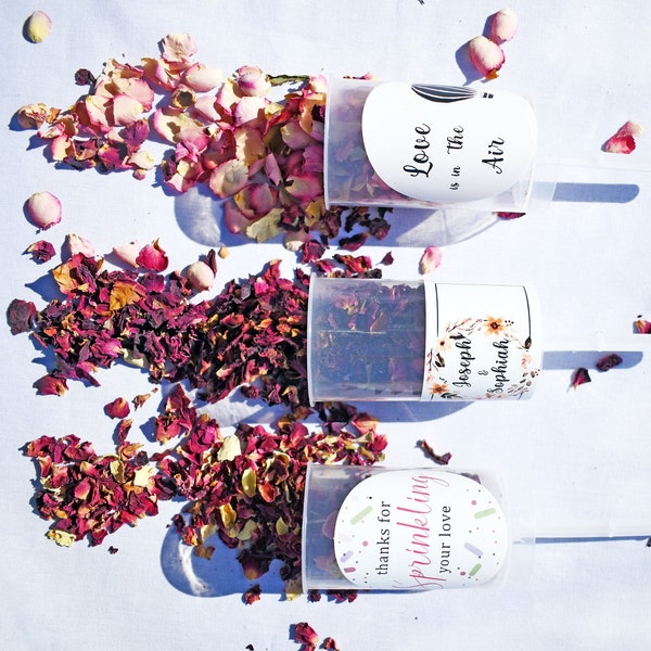 Confetti Cannon Etsy