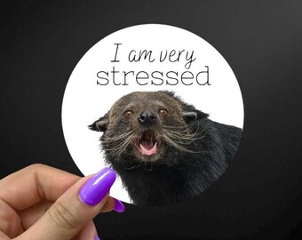 I Am Very Stressed Sticker: Funny Mental Health Vinyl Decal