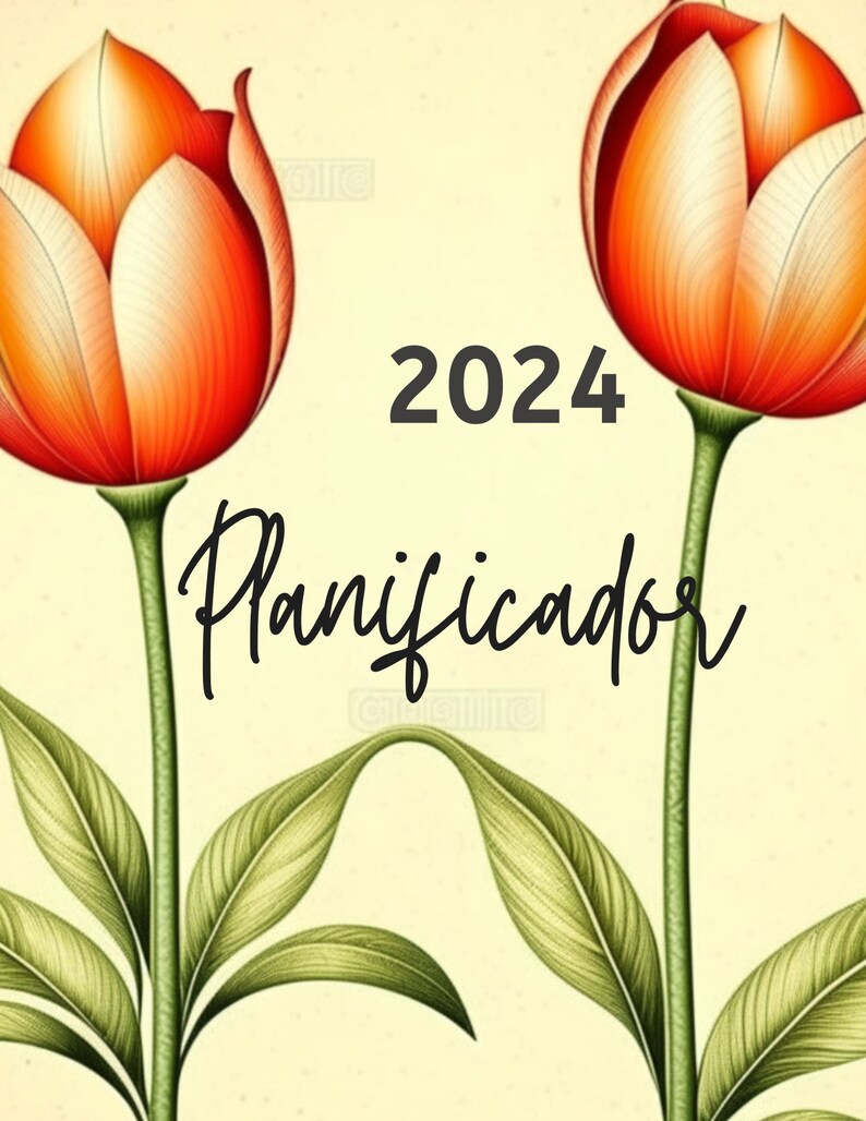 2024 Planificador, 2024 Spanish Daily Planner, Daily Planner