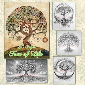Pode incluir: Uma coleção de cinco ilustrações em preto e branco de designs de árvore da vida. As ilustrações estão em uma variedade de estilos, incluindo uma árvore com um círculo ao redor, uma árvore com uma lua crescente e uma árvore com um sol e estrelas. O texto "50 Pages Tree of Life" está na parte inferior da imagem.