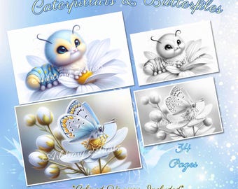 Caterpillars & Butterflies 34 Grayscale, colored versions, adult coloring, nature, bugs, coloring pages