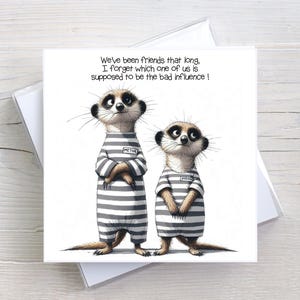 Carte d'anniversaire pour toutes les occasions - Prison des amis suricates - Carte de voeux Humour adulte - BW0016