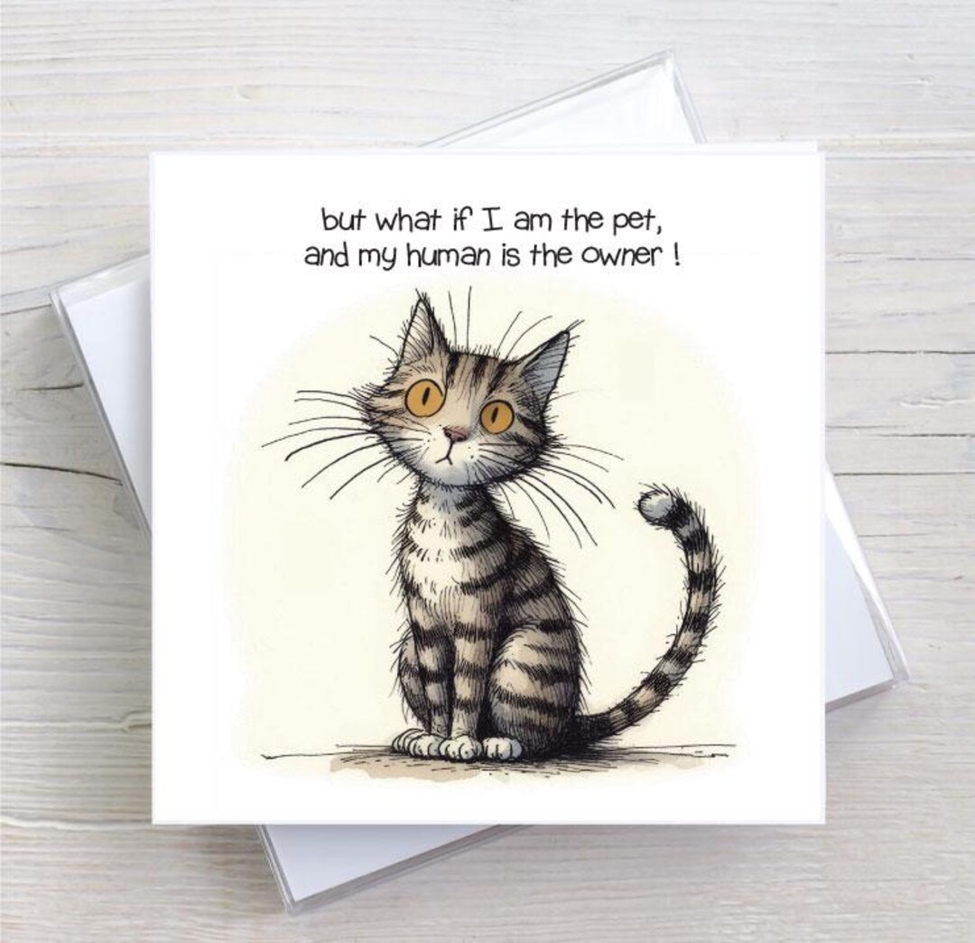 BW0045 - Funny Cat Birthday Card: Adult Humour Greeting Card - Etsy UK