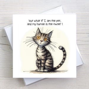 Birthday Card Any Occasion Card - Cats What If - Greetings Card Adult Humour - BW0045