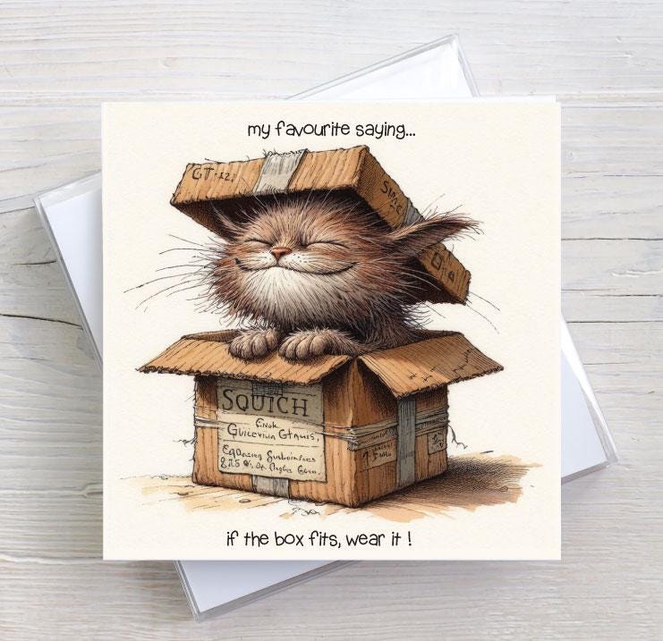 BW0190 - Funny Cat Birthday Card: If the Box Fits Humour Greetings Card ...