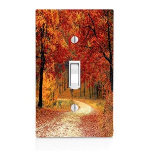 May include: A light switch cover with a photograph of a winding path through a forest with red and orange autumn leaves.