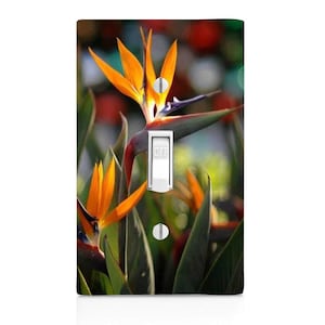 Bird of Paradise, Tropical Light Switch Cover, Night Light, Cabinet Knob