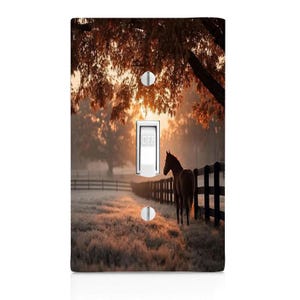 May include: A light switch cover featuring a scenic image of a horse standing near a fence in a field at sunrise. The switch is in the "OFF" position. The background shows trees and a golden sky.