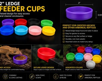 Comedero para geckos impreso en 3D, cuenco con borde de 2 pulgadas