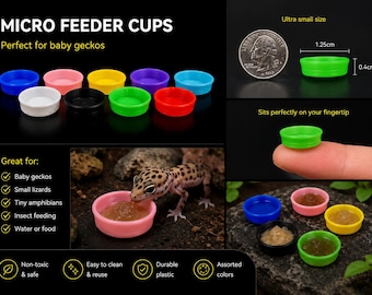 Microtaza con repisa de alimentación para geckos impresa en 3D