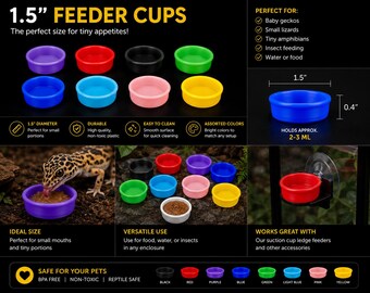Comedero para geckos impreso en 3D, borde de 1,5 pulgadas