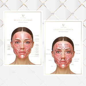 Puede incluir: Dos carteles enmarcados con bordes dorados. Uno muestra la anatomía muscular facial con el texto "Muscle Anatomy Anti Wrinkle Treatments". El otro muestra los puntos de inyección con el texto "Injection Points Anti Wrinkle Treatments".