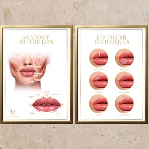 Lip Anatomy and Filler Techniques Posters (Editable Canva Template)