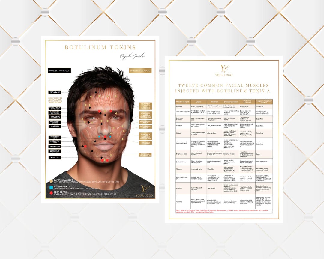 Botox Injection Cheat Sheets, Facial Muscle Anatomy, Aesthetics ...