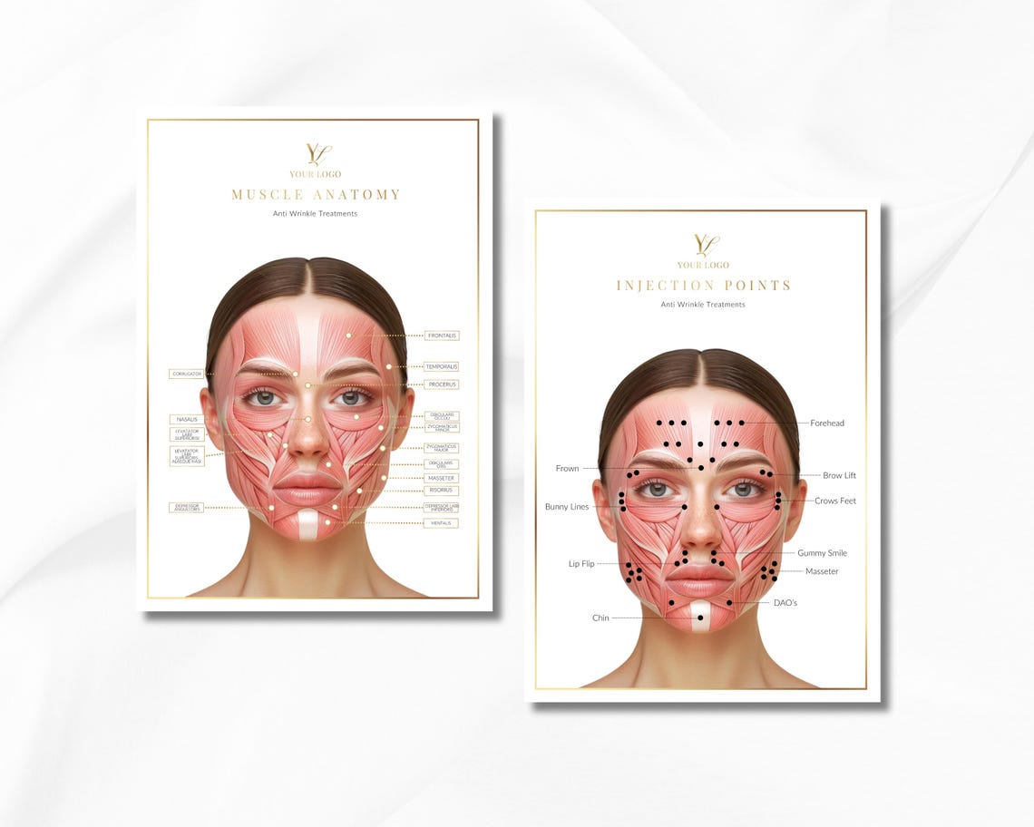 Botox Injection Points, Facial Muscles, A4 Reference Guide (canva ...