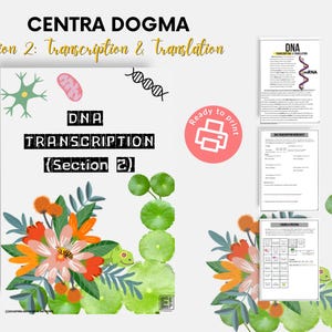 May include: A biology-themed digital print titled "DNA Transcription (Section 2)". The design features floral illustrations, scientific diagrams, and the text "CENTRA DOGMA" and "Section 2: Transcription & Translation". A "Ready to print" icon is also included.