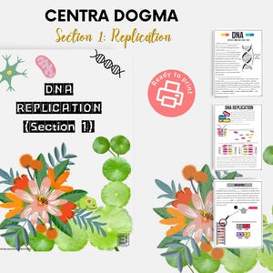 May include: A set of printable educational materials titled "CENTRA DOGMA Section 1: Replication." The main page features the text "DNA REPLICATION (Section 1)" with floral and leaf illustrations. Additional pages show diagrams and fill-in-the-blank exercises.