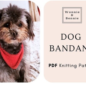May include: A small, gray and brown dog wearing a red knitted bandana. The dog is sitting on a bed. The image is a product listing for a PDF knitting pattern for a dog bandana.
