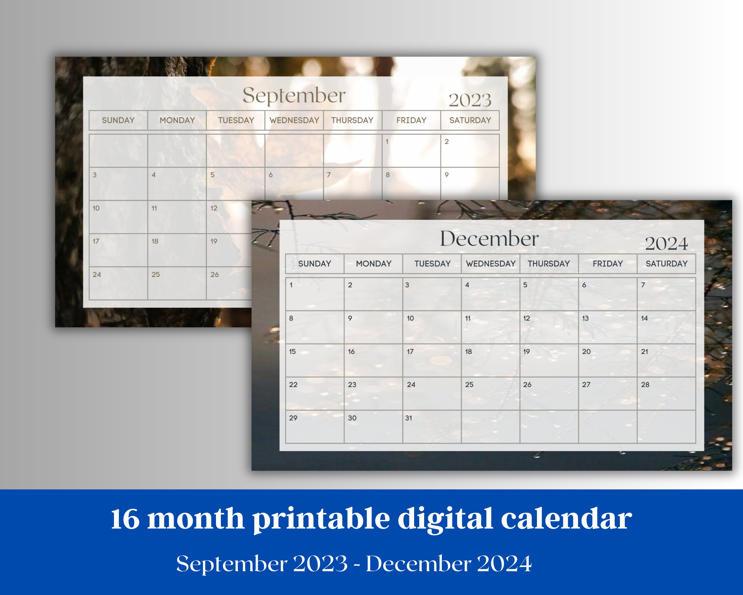 2023-2024 Printable Digital Calendar 16 Month Calendar - Etsy