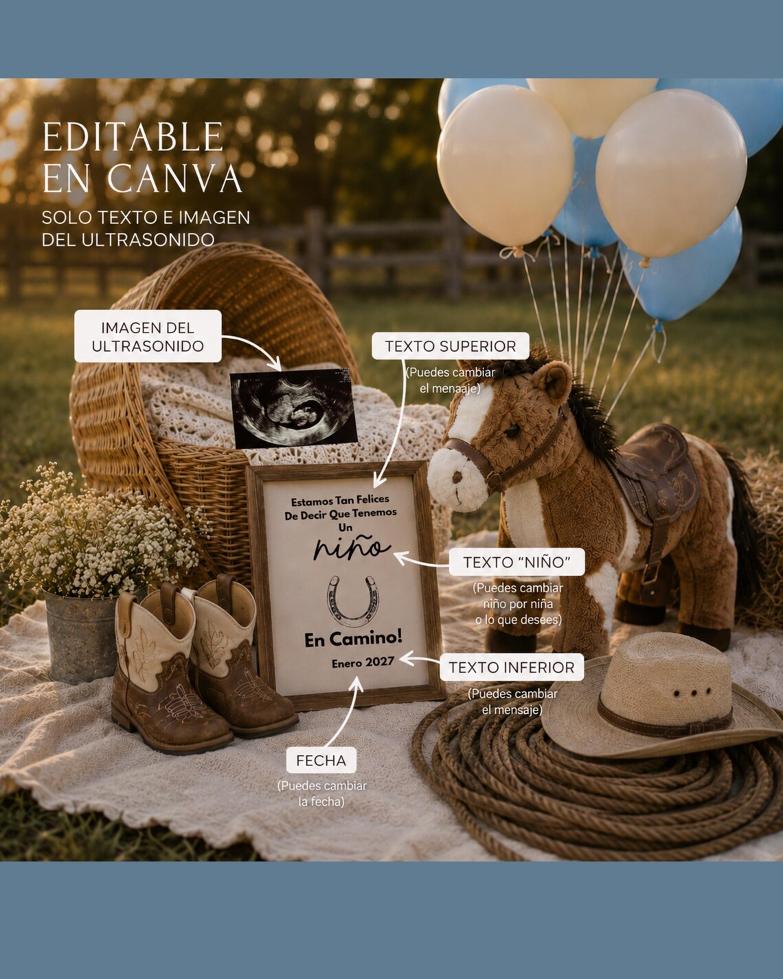 Pregnancy Announcement Digital Template Baby Reveal Social Media