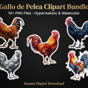 Può includere: Un pacchetto di clipart digitali intitolato Gallo de Pelea Clipart Bundle contenente oltre 10 file PNG di galli in stili iperrealistici e acquerello. La collezione include cinque diverse illustrazioni di galli nei toni del rosso, nero e grigio.