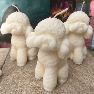 Handmade dog candle