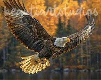 Bald Eagle PNG Nature File Sublimation Crafting Digital Design Download Wreath Sign Square Cutting Board Wind Spinner Shadow Box Image