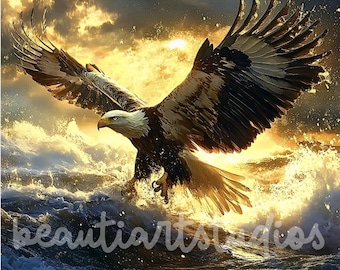 Bald Eagle PNG Nature File Sublimation Crafting Digital Design Download Wreath Sign Square Cutting Board Wind Spinner Shadow Box Image