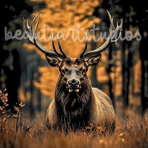 May include: A large, brown elk with large antlers stands in a forest setting. The elk is looking directly at the camera. The background is a blur of trees and foliage in shades of brown, orange, and yellow.