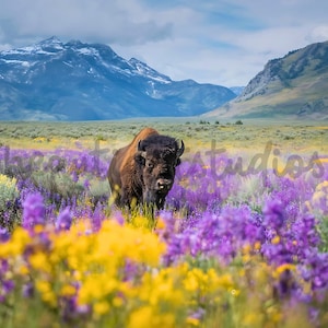 Puede incluir: Un majestuoso bisonte se alza en un campo de vibrantes flores silvestres, con un telón de fondo de montañas nevadas bajo un cielo azul. El bisonte tiene un pelaje marrón oscuro y está mirando al espectador. La escena evoca una sensación de naturaleza salvaje.