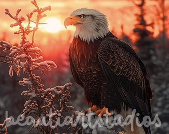 Bald Eagle PNG File Sublimation Crafting Digital Download Wreath Sign Square Cutting Board Wind Spinner Shadow Box Winter Nature Snow Scene