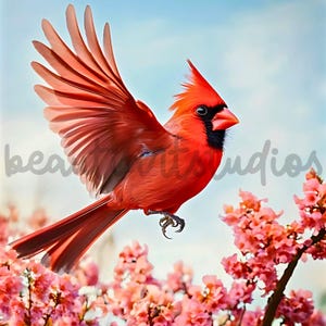 red cardinal bird  png sublimation digital design download wreath sign wind spinner cutting board image realistic image  png