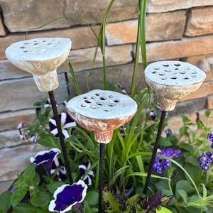 May include: Three white ceramic lotus flower shaped plant stakes with brown accents and holes throughout the surface. The stakes are inserted into a planter with green plants and purple flowers.