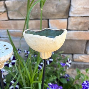 May include: A ceramic bird bath with a light brown glaze and a green interior. The bird bath is attached to a black metal stake and is surrounded by green plants.
