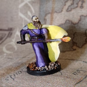 Wizard (Staff) -- Hand Painted D&D/Pathfinder/TTRPG miniature (Reaper Bones)