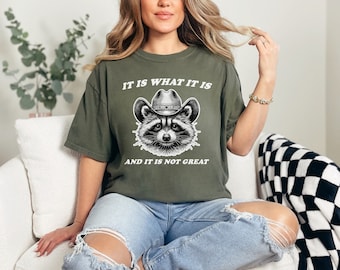 It Is What It Is And It Is Not Great Raccoon Vintage Graphic T-shirt, Retro Raccoon Tshirt, Funny Raccon Tee, Oversized Washed Tee