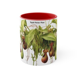 Rajah Pitcher Plant Mug - Exotic Carnivorous Plant Design - Unique Nature Lover Gift - Perfect for Gardeners and Plant Enthusiasts image 2
