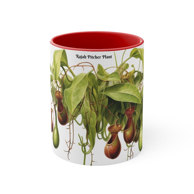 Rajah Pitcher Plant Mug - Exotic Carnivorous Plant Design - Unique Nature Lover Gift - Perfect for Gardeners and Plant Enthusiasts image 2