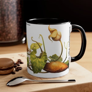 Dutchmans Pipe Flower Mug, Accent Mugs