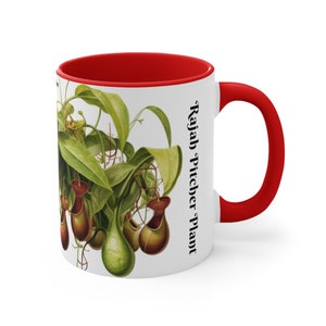 Rajah Pitcher Plant Mug - Exotic Carnivorous Plant Design - Unique Nature Lover Gift - Perfect for Gardeners and Plant Enthusiasts image 4
