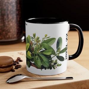 ZZ Plant Mug, Accent Mugs