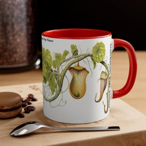 Dutchmans Pipe Flower Mug, Accent Coffee Mug, 11oz