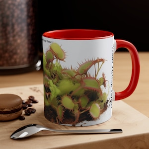 Venus Flytrap Flower Mug - Fascinating Botanical Design, Perfect for Coffee Lovers, Microwave & Dishwasher Safe, Unique Gift Idea&quot;